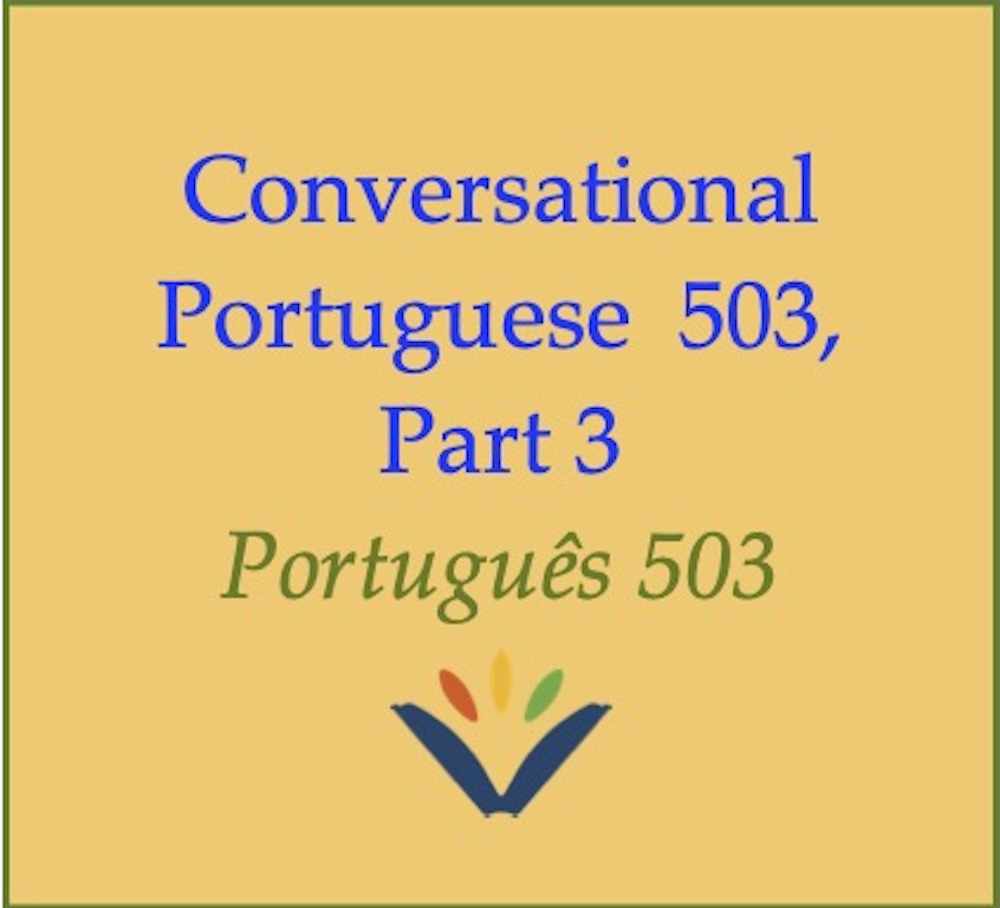 2026T3 Portuguese 503 button